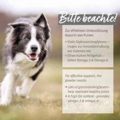 AniForte Grünlippmuschel Pulver -Haustier Alles Verkaufsgeschäft 0056174 aniforte grunlippmuschel pulver