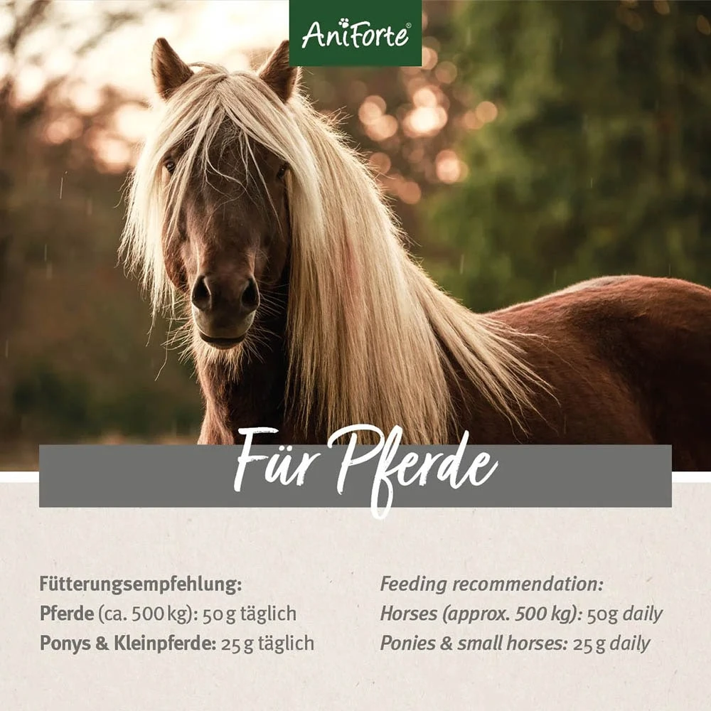 AniForte Indische Flohsamen Für Pferde 6 AniForte Indische Flohsamen Für Pferde – Bild 4