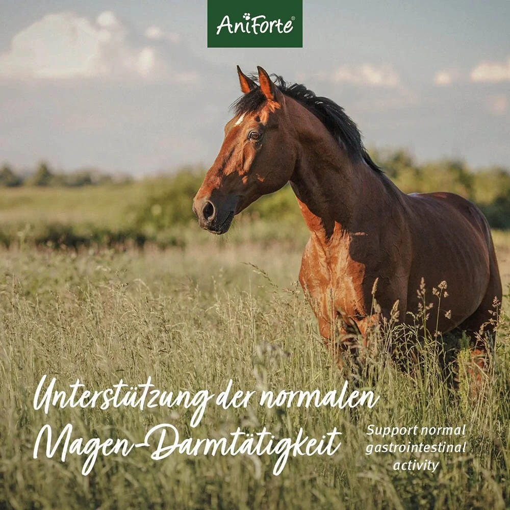 AniForte Indische Flohsamen Für Pferde 7 AniForte Indische Flohsamen Für Pferde – Bild 5