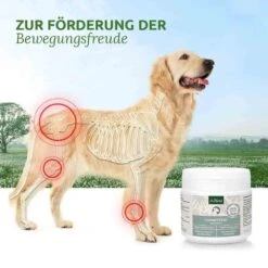 AniForte GelenkVETAL 3 7 AniForte GelenkVETAL 3 -Haustier Alles Verkaufsgeschäft 0056196 aniforte gelenkvetal 3