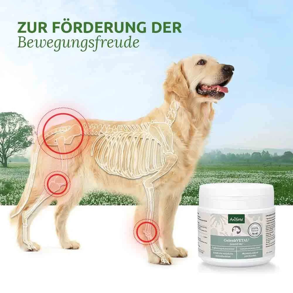 AniForte GelenkVETAL 3 5 AniForte GelenkVETAL 3 – Bild 3
