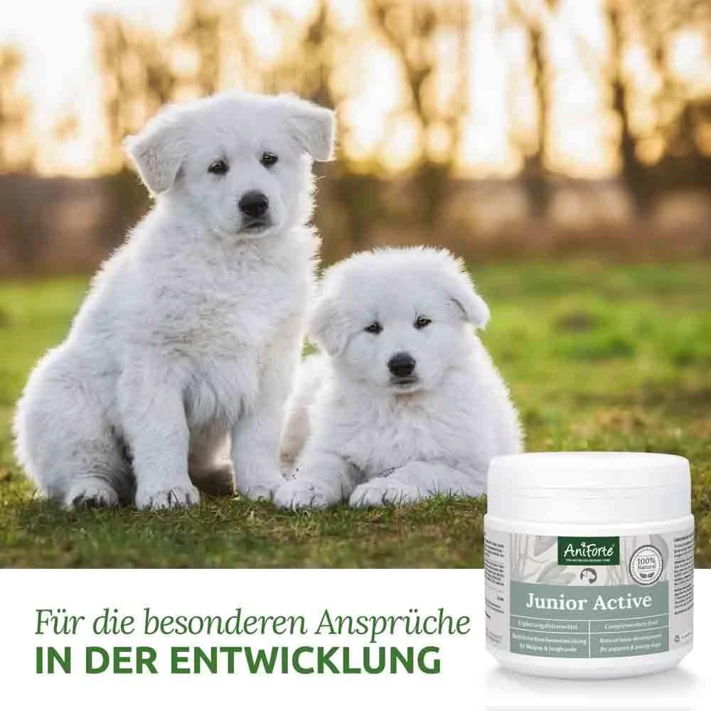 AniForte Junior Active Pulver 5 AniForte Junior Active Pulver – Bild 3