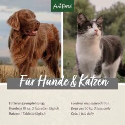 AniForte MultiVETAL Tabs -Haustier Alles Verkaufsgeschäft 0056213 aniforte multivetal tabs
