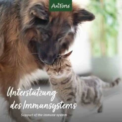 AniForte MultiVETAL Tabs -Haustier Alles Verkaufsgeschäft 0056215 aniforte multivetal tabs