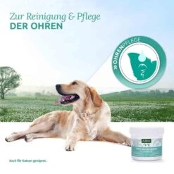 AniForte Ohren-Reinigungspads -Haustier Alles Verkaufsgeschäft 0056222 aniforte ohren reinigungspads