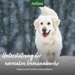 AniForte Premium Colostrum -Haustier Alles Verkaufsgeschäft 0056243 aniforte premium colostrum