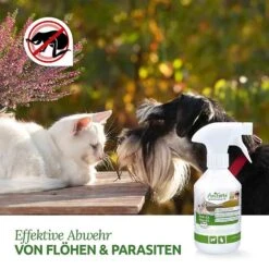 AniForte Floh-EX Spray -Haustier Alles Verkaufsgeschäft 0056254 aniforte floh ex spray