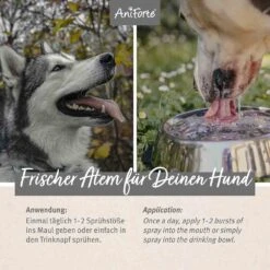 AniForte Denta Clean & Care Dentalspray -Haustier Alles Verkaufsgeschäft 0056269 aniforte denta clean care dentalspray