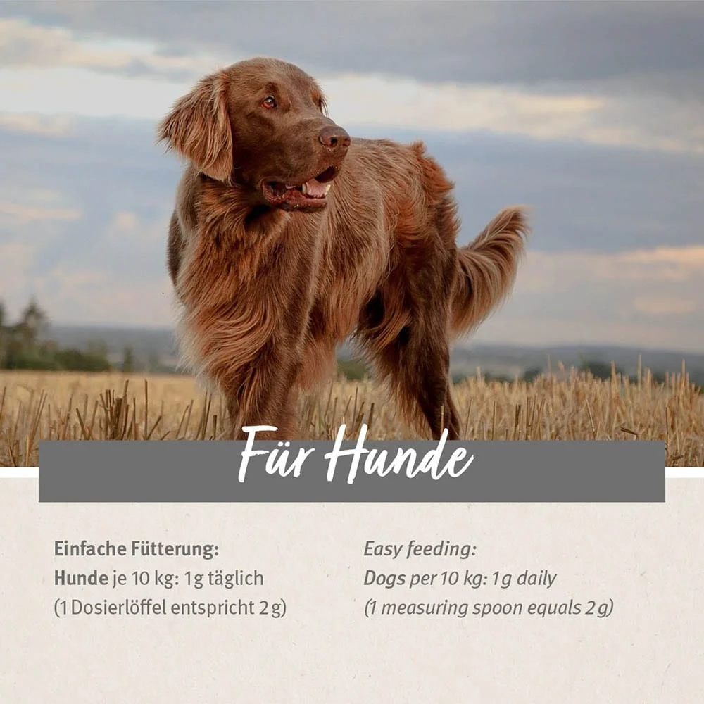 AniForte Senior Active 5 AniForte Senior Active – Bild 3