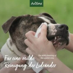 AniForte Sanfte Augenpflege -Haustier Alles Verkaufsgeschäft 0056280 aniforte sanfte augenpflege