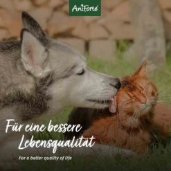 AniForte Silberwasser Spray -Haustier Alles Verkaufsgeschäft 0056303 aniforte silberwasser spray