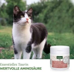 AniForte Taurin Pulver Für Katzen -Haustier Alles Verkaufsgeschäft 0056305 aniforte taurin pulver fur katzen