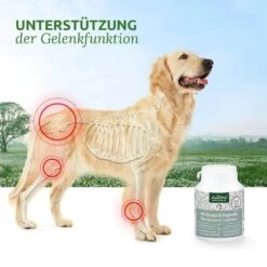 AniForte Weihrauch-Kapseln 8 AniForte Weihrauch-Kapseln -Haustier Alles Verkaufsgeschäft 0056322 aniforte weihrauch kapseln