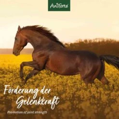 AniForte Weidenrinde -Haustier Alles Verkaufsgeschäft 0056325 aniforte weidenrinde