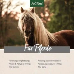 AniForte Weidenrinde -Haustier Alles Verkaufsgeschäft 0056326 aniforte weidenrinde