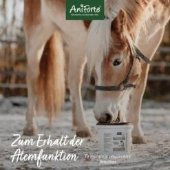 AniForte Bronchial Kräuter -Haustier Alles Verkaufsgeschäft 0056349 aniforte bronchial krauter