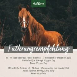 AniForte Bronchial Kräuter -Haustier Alles Verkaufsgeschäft 0056350 aniforte bronchial krauter