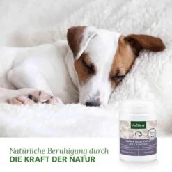 AniForte Calm & Relax Kräuter -Haustier Alles Verkaufsgeschäft 0056351 aniforte calm relax krauter