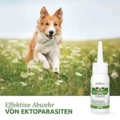 AniForte Ectoprotex Spot-on Für Hunde 7 AniForte Ectoprotex Spot-on Für Hunde -Haustier Alles Verkaufsgeschäft 0056354 aniforte ectoprotex spot on fur hunde