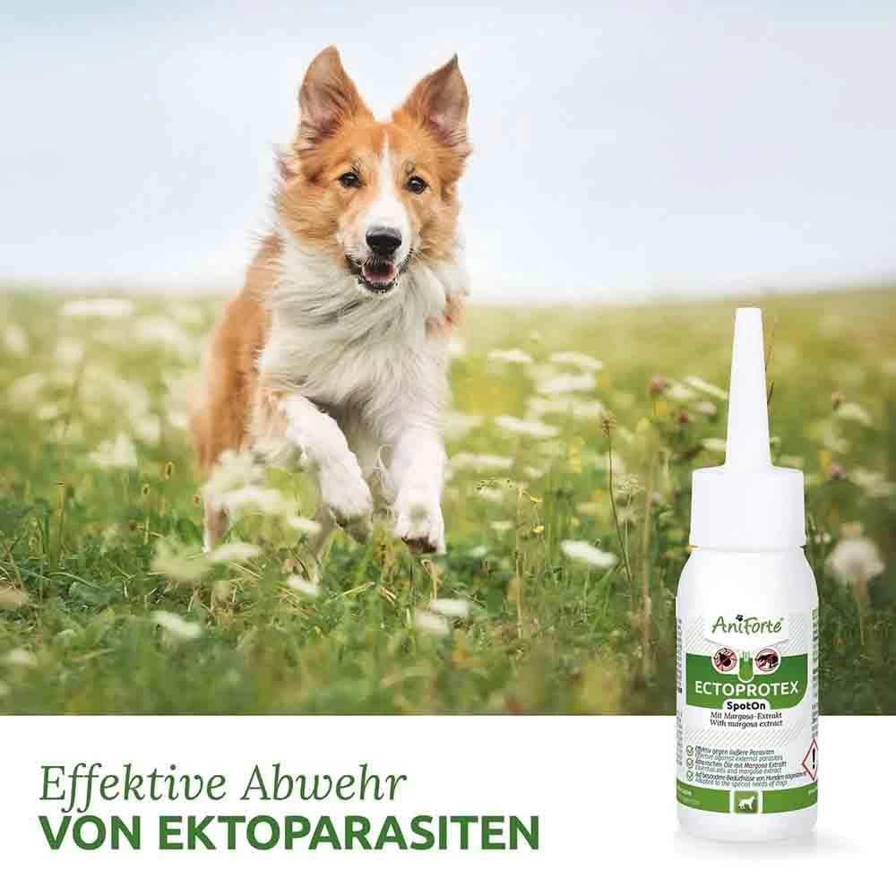 AniForte Ectoprotex Spot-on Für Hunde 5 AniForte Ectoprotex Spot-on Für Hunde – Bild 3