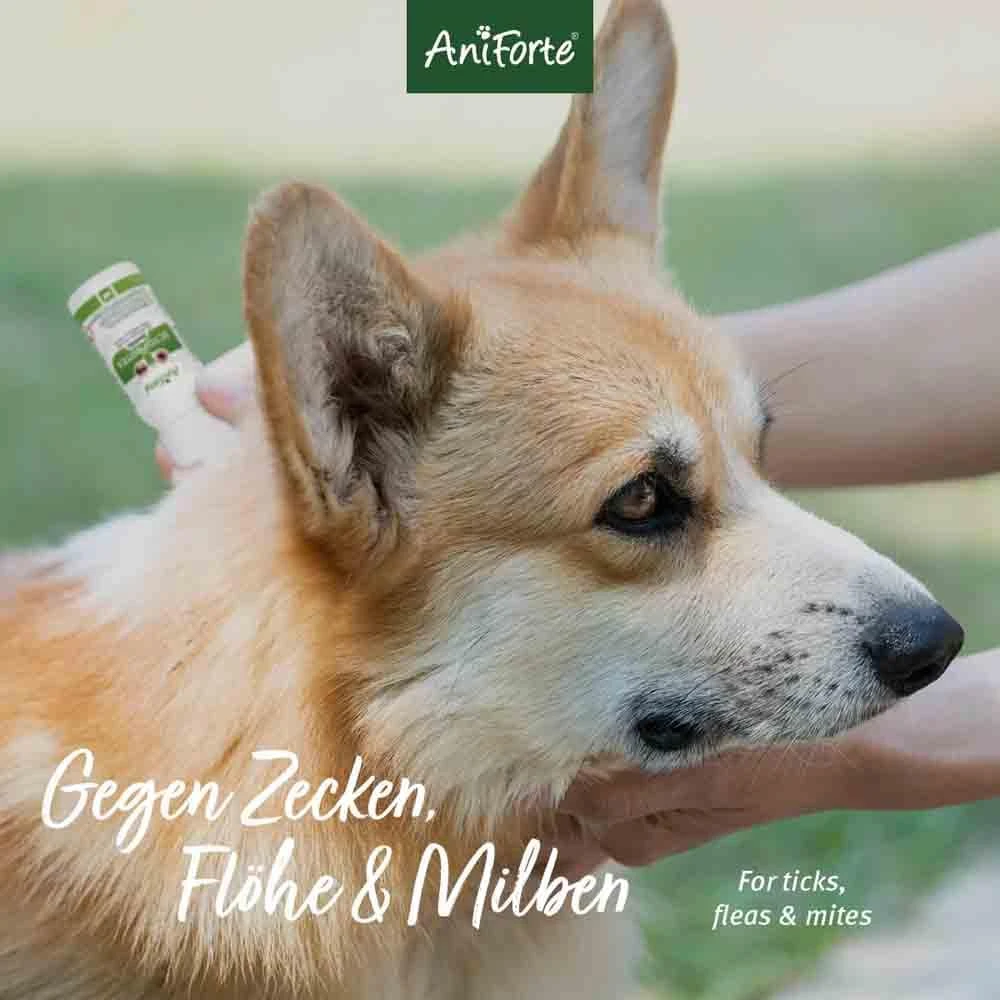 AniForte Ectoprotex Spot-on Für Hunde 4 AniForte Ectoprotex Spot-on Für Hunde – Bild 2