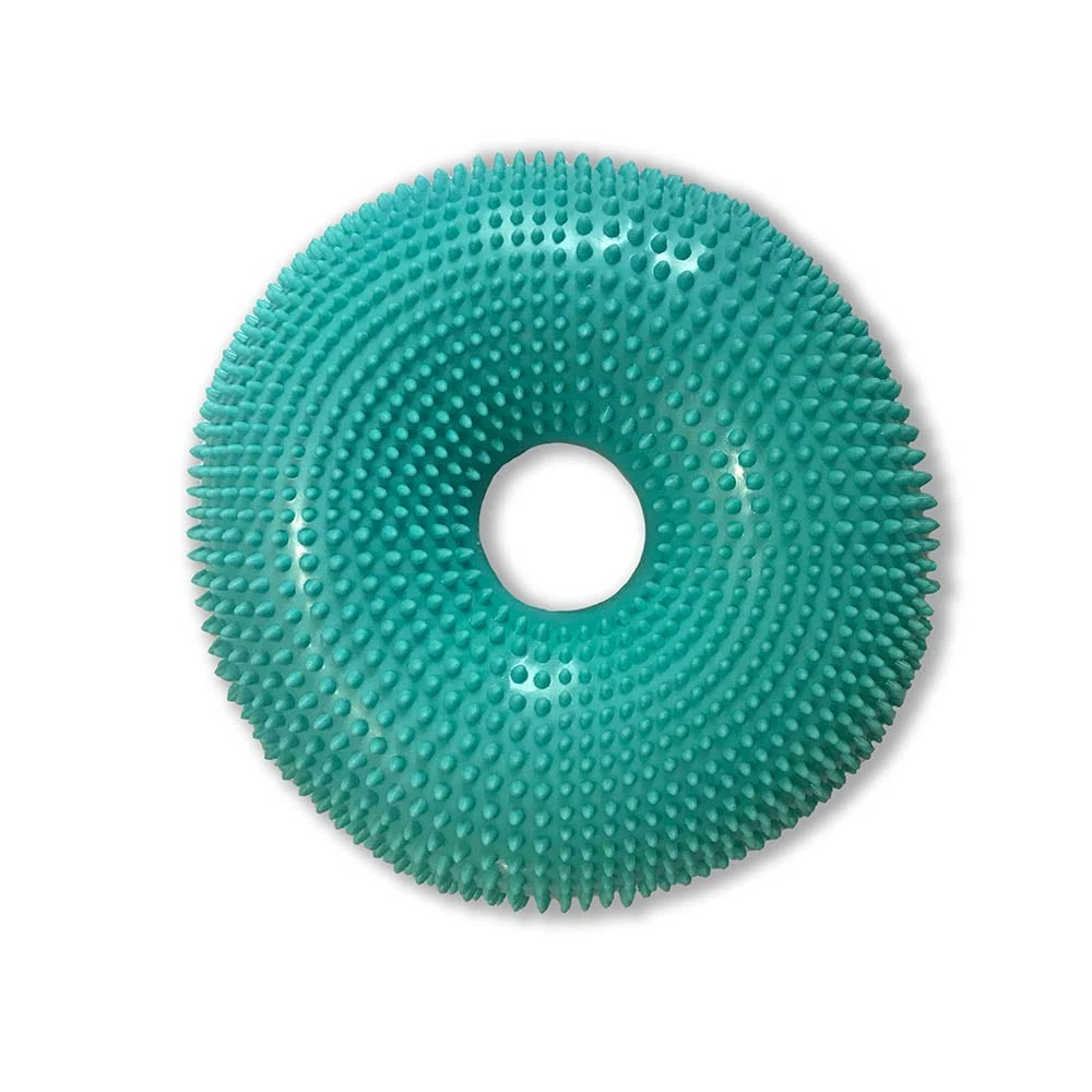 Flexiness DonutDisk Aqua 3 Flexiness DonutDisk Aqua