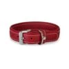 Das Lederband Barcelona Halsband Indian-Red 2 Das Lederband Barcelona Halsband Indian-Red -Haustier Alles Verkaufsgeschäft 0056817 das lederband barcelona halsband indian red