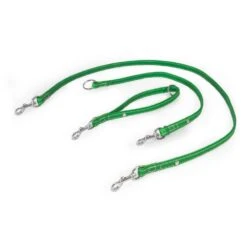 Das Lederband Barcelona Universal-Leine Summer-Green