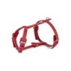 Das Lederband Barcelona Geschirr Indian-Red -Haustier Alles Verkaufsgeschäft 0056840 das lederband barcelona geschirr indian red
