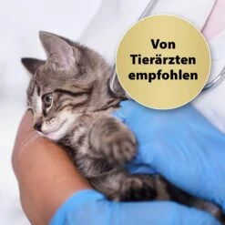 Felisept Home Comfort Beruhigungshalsband Für Katzen -Haustier Alles Verkaufsgeschäft 0056894 felisept home comfort beruhigungshalsband fur katzen