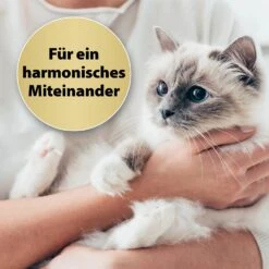 Felisept Home Comfort Beruhigungshalsband Für Katzen -Haustier Alles Verkaufsgeschäft 0056895 felisept home comfort beruhigungshalsband fur katzen