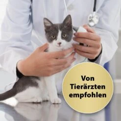 Felisept Home Comfort Nachfüll-Flakon Für Katzen -Haustier Alles Verkaufsgeschäft 0056908 felisept home comfort nachfull flakon fur katzen