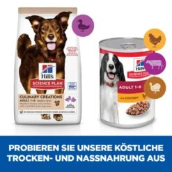 Hills Science Plan Culinary Creations Medium Adult Hundefutter 11 Hills Science Plan Culinary Creations Medium Adult Hundefutter -Haustier Alles Verkaufsgeschäft 0057380 hills science plan culinary creations medium adult hundefutter