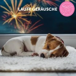 CEVA Adaptil Junior Halsband -Haustier Alles Verkaufsgeschäft 0057440 adaptil junior halsband