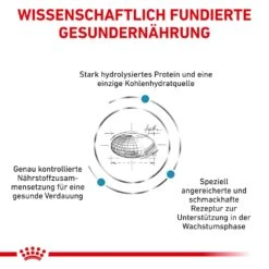 Royal Canin Hypoallergenic Puppy Trockennahrung Für Hundewelpen -Haustier Alles Verkaufsgeschäft 0057532 royal canin hypoallergenic puppy trockennahrung fur hundewelpen
