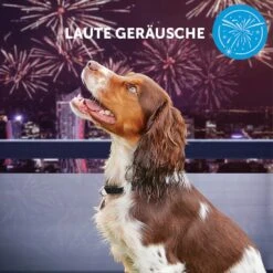 CEVA Adaptil Calm Halsband Für Kleine Hunde -Haustier Alles Verkaufsgeschäft 0057752 adaptil calm halsband fur kleine hunde