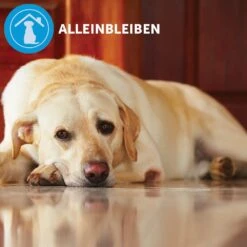 CEVA Adaptil Calm Halsband Für Kleine Hunde -Haustier Alles Verkaufsgeschäft 0057754 adaptil calm halsband fur kleine hunde