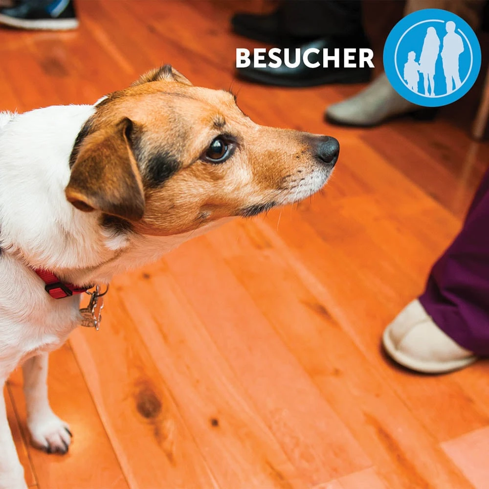 CEVA Adaptil Calm Halsband Für Große Hunde 6 CEVA Adaptil Calm Halsband Für Große Hunde – Bild 4