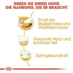 Royal Canin Jack Russell Terrier Adult Hundefutter Trocken -Haustier Alles Verkaufsgeschäft 0057894 royal canin jack russell terrier adult hundefutter trocken