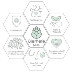 CdVet DarmRein Pro -Haustier Alles Verkaufsgeschäft 0057916 cdvet darmrein pro