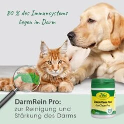 CdVet DarmRein Pro -Haustier Alles Verkaufsgeschäft 0057917 cdvet darmrein pro