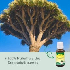 CdVet Drachenblut -Haustier Alles Verkaufsgeschäft 0057983 cdvet drachenblut