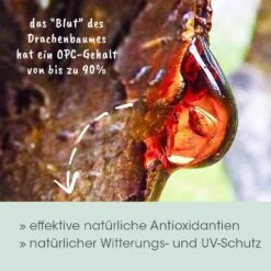 CdVet Drachenblut -Haustier Alles Verkaufsgeschäft 0057984 cdvet drachenblut
