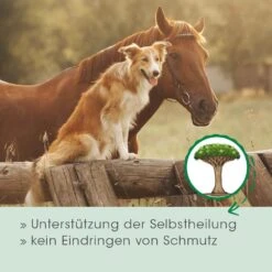 CdVet Drachenblut -Haustier Alles Verkaufsgeschäft 0057986 cdvet drachenblut