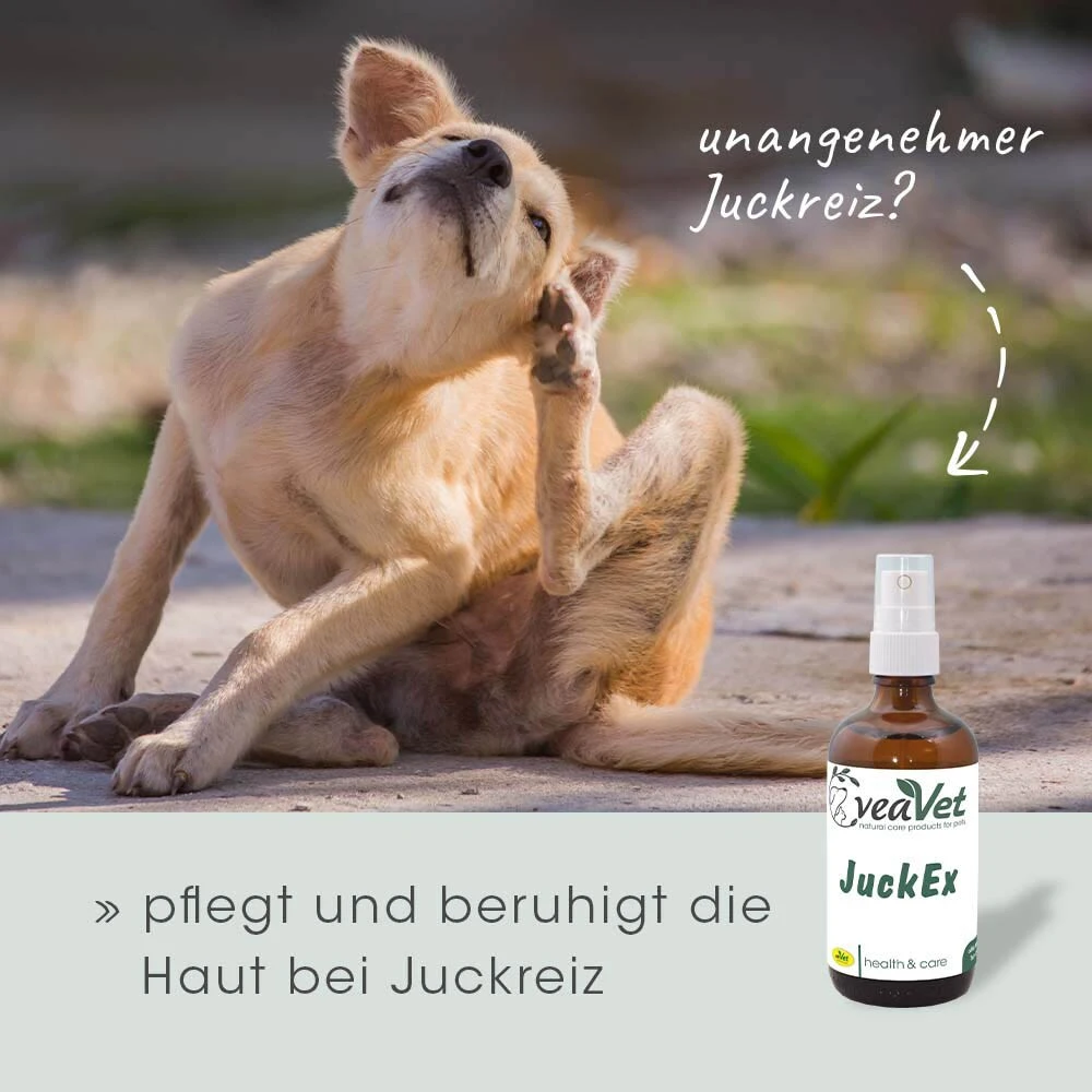 CdVet VeaVet JuckEx 5 CdVet VeaVet JuckEx – Bild 3