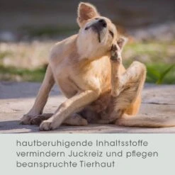 CdVet VeaVet Lebermoos Spray -Haustier Alles Verkaufsgeschäft 0058021 cdvet veavet lebermoos spray