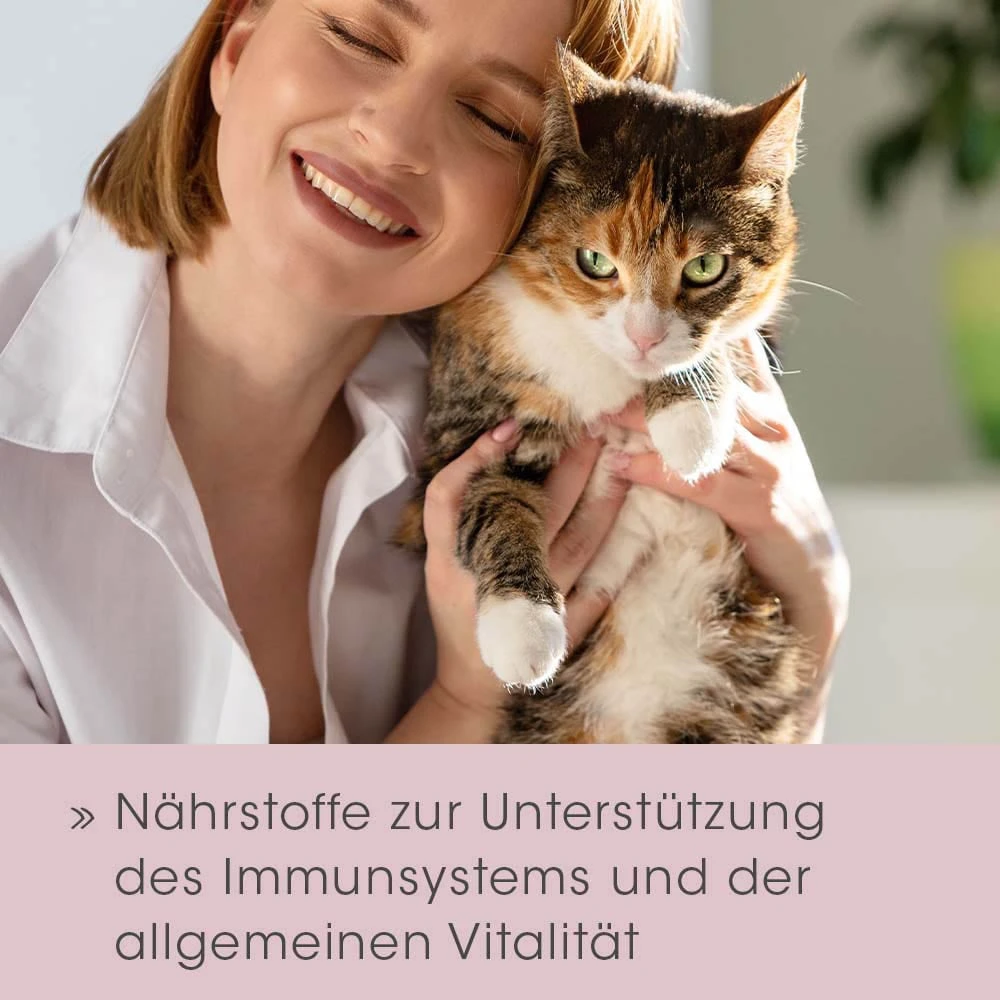 CdVet FeliTATZ ImmunKraft 6 CdVet FeliTATZ ImmunKraft – Bild 4