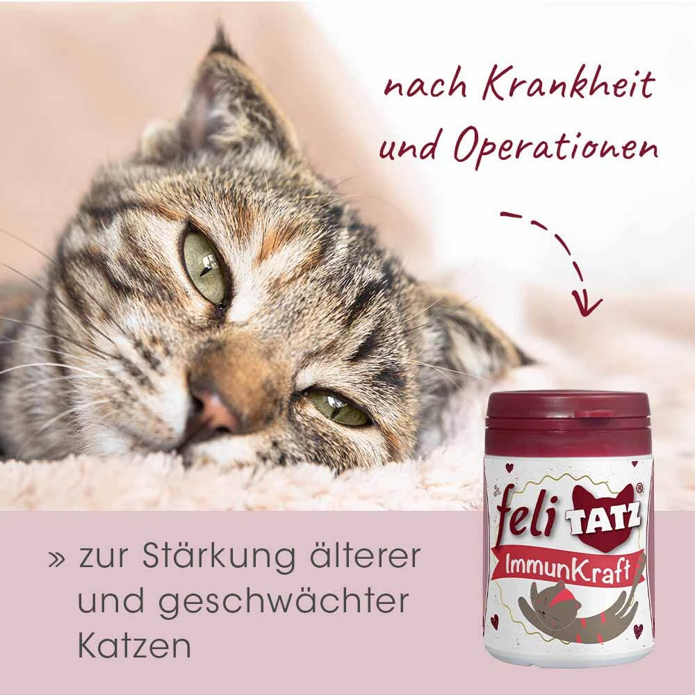 CdVet FeliTATZ ImmunKraft 9 CdVet FeliTATZ ImmunKraft – Bild 7