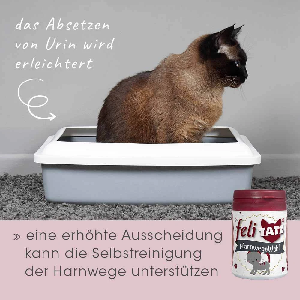 CdVet FeliTATZ HarnwegeWohl 9 CdVet FeliTATZ HarnwegeWohl – Bild 7
