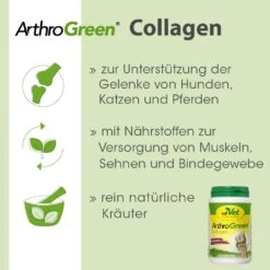 CdVet ArthroGreen Collagen 11 CdVet ArthroGreen Collagen -Haustier Alles Verkaufsgeschäft 0058269 cdvet arthrogreen collagen